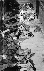 corpses of dead Jewish prisoners in boxcar at Dachau death camp