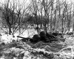 750px-45th_Division_roadblock,_Battle_of_the_Bulge.JPG 45th Division roadblock, Battle of the Bulge, 1944