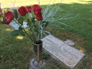 My roses at Nicky's grave